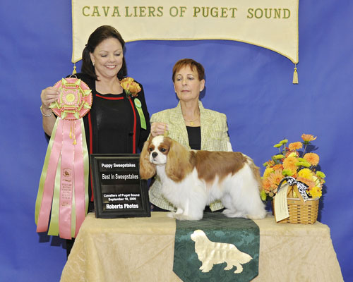 Rodney Best in Sweeps